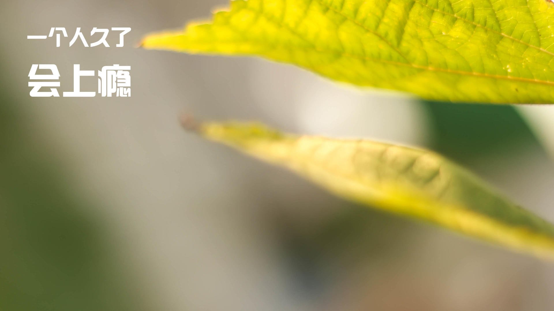 中国男篮迎来新赛季首场热身赛 展现良好状态,中国男篮热身赛时间