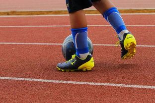 开云官网首页-明星球员带动体育产业发展，打造体育明星的弊端