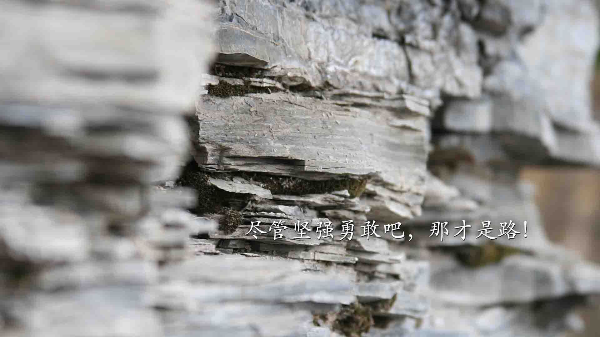 现代技术改变乒乓球发球与接球战术，研究乒乓球的接发球技术