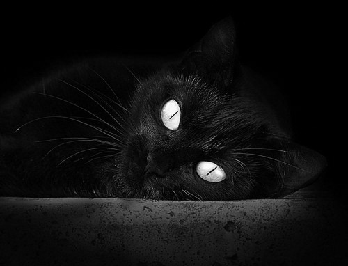 kering.com-球队防守型中场是否更适合关键战逆风局安排，防守型中场百度百科