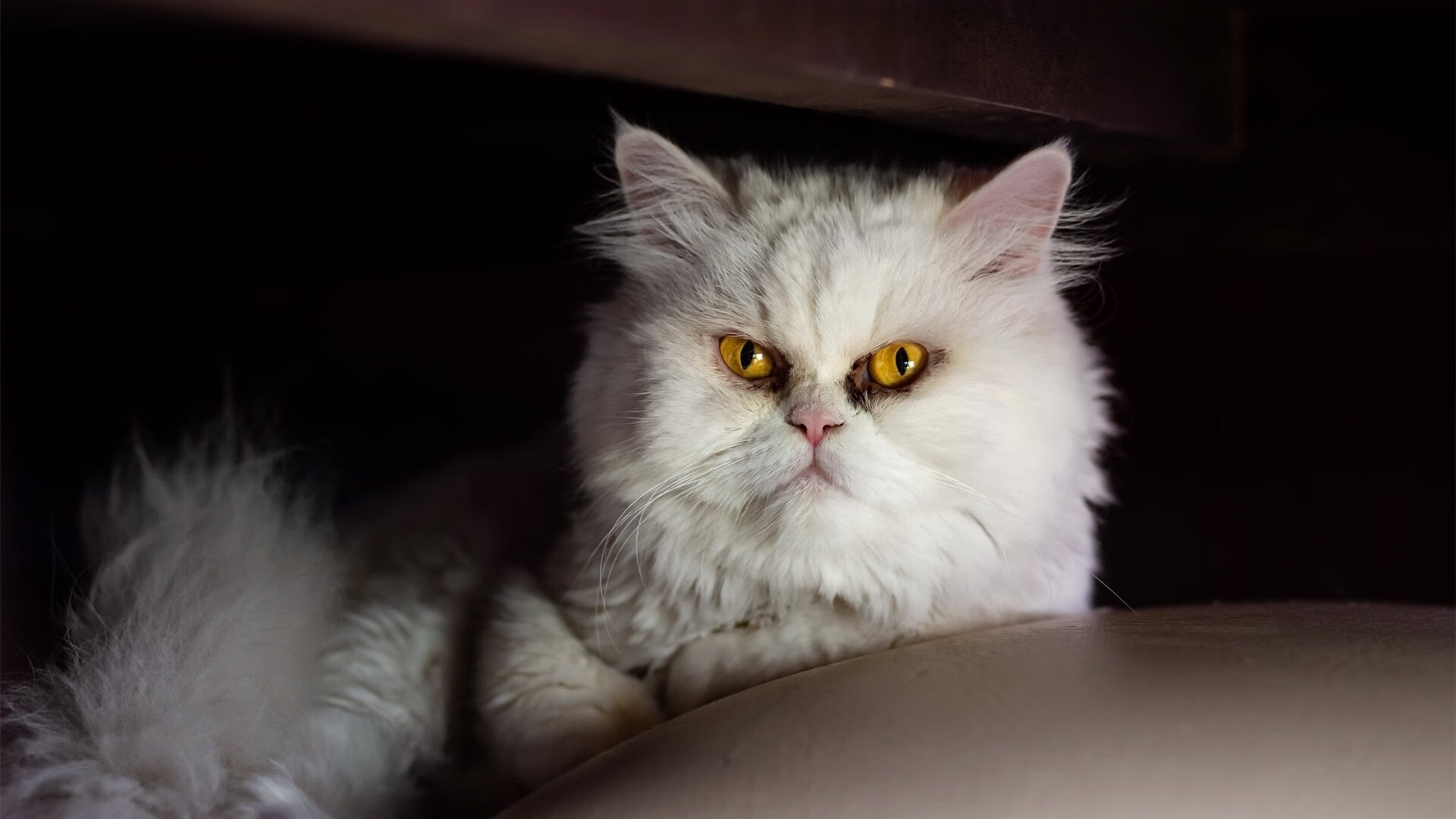 球队防守型中场是否更适合关键战逆风局安排,防守型中场百度百科